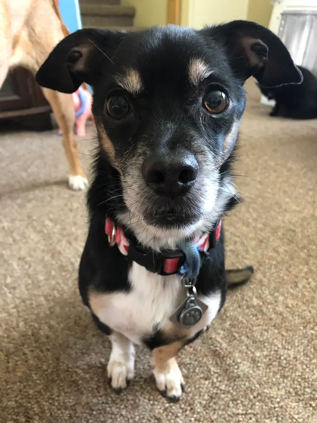 Augusta Animal Clinic — customer photo 10