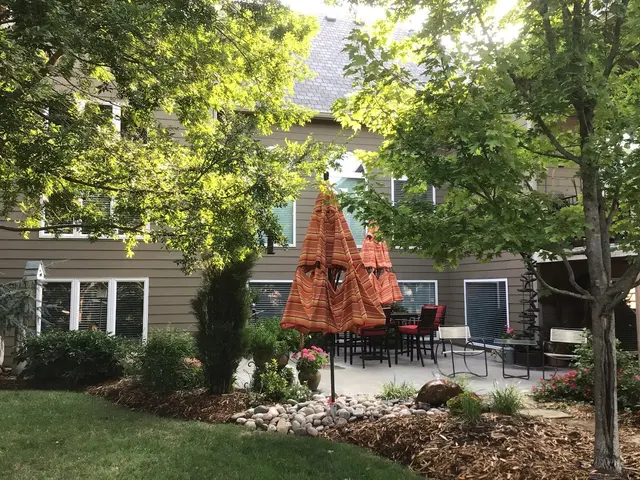 Warsh Exterior Cleaning Pros — customer photo 12