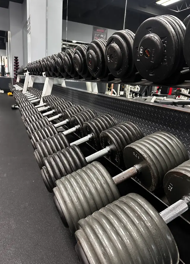 Alinea Performance Physical Therapy — photo from the business 6
