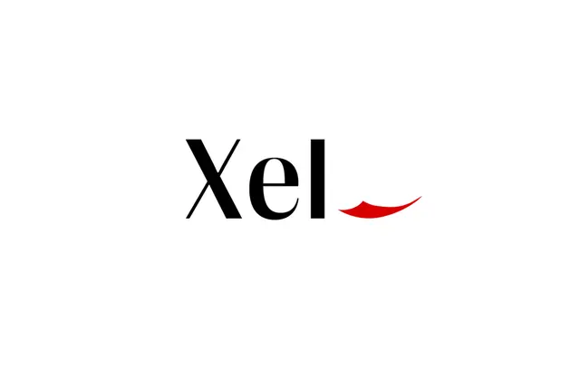 Xel Advisors — photo from the business 9