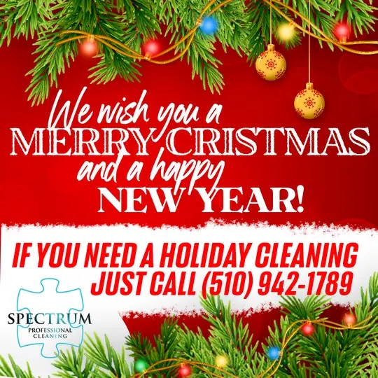 Spectrum Professional Cleaning — photo from the business 11