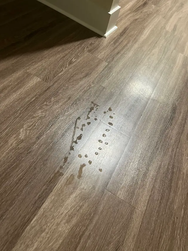 Customer photo from Kelsey's review