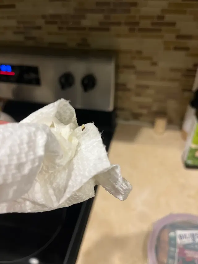 Customer photo from Kelsey's review