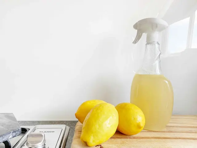 Household Solutions — photo from the business 10