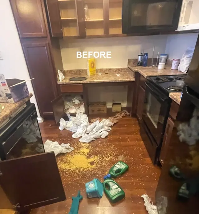 Chloe's Cleaning Company — photo from the business 6