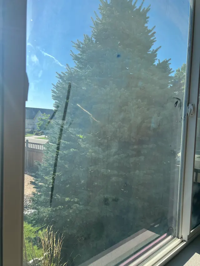 Customer photo of work by Chloe's Cleaning Company, from Sydney's review