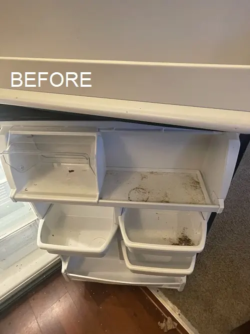 Chloe's Cleaning Company — photo from the business 5
