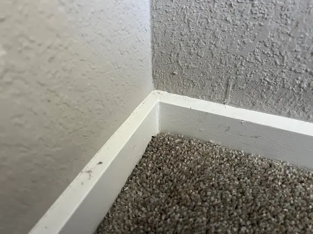 Customer photo of work by Chloe's Cleaning Company, from Sydney's review