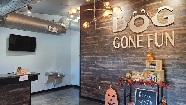 Dog Gone Fun, LLC. — customer photo 3