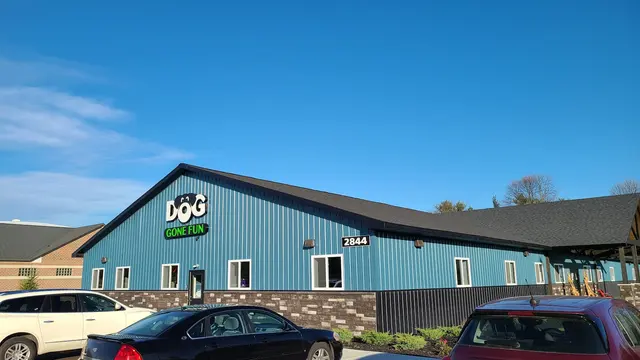 Dog Gone Fun, LLC. — customer photo 12