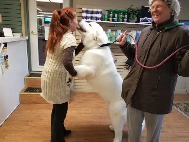 The Elegant Pooch — photo from the business 3