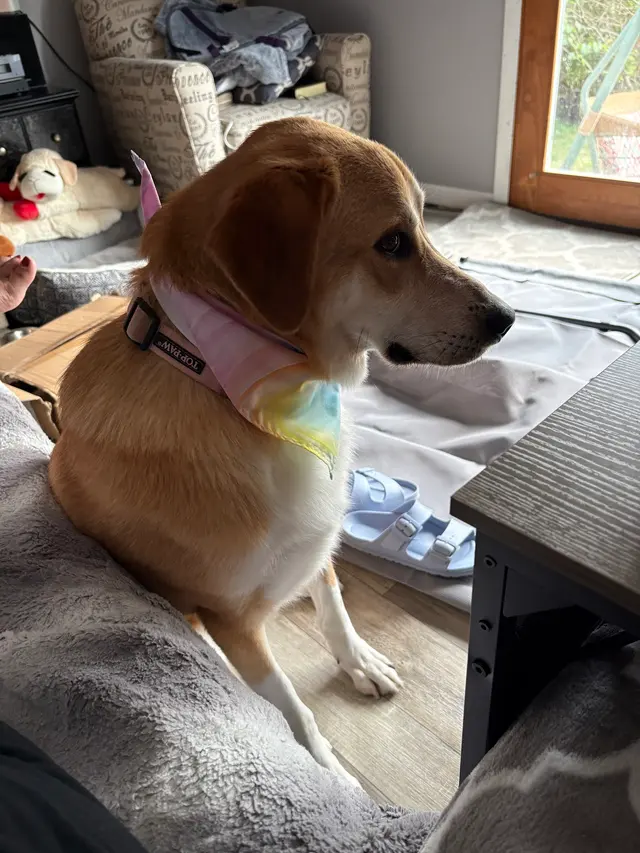 Customer photo from eva's review