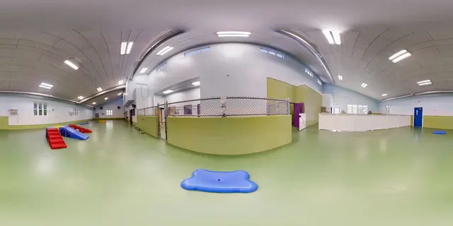 Doggy Daycare and Spa — customer photo 12
