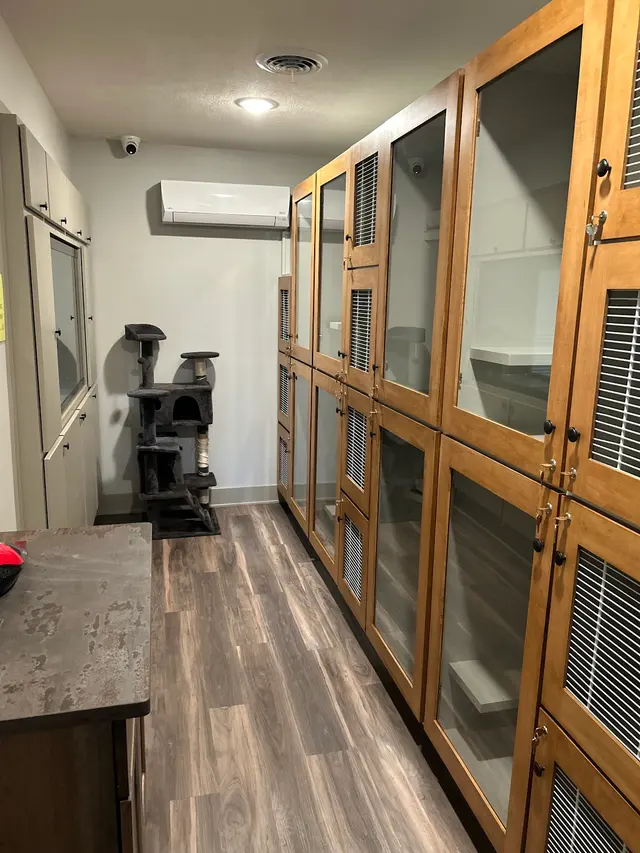 Mitten Dog Company — photo from the business 12