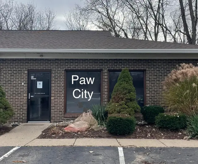 Paw City Pet Care — photo from the business 1