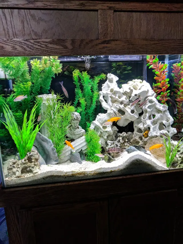 Preuss Pets — customer photo 11