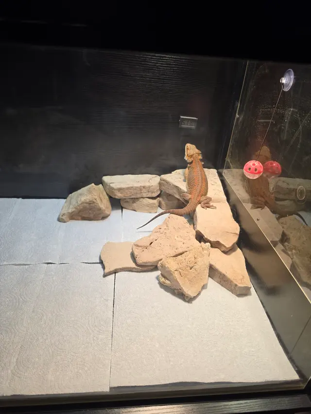 Preuss Pets — customer photo 10