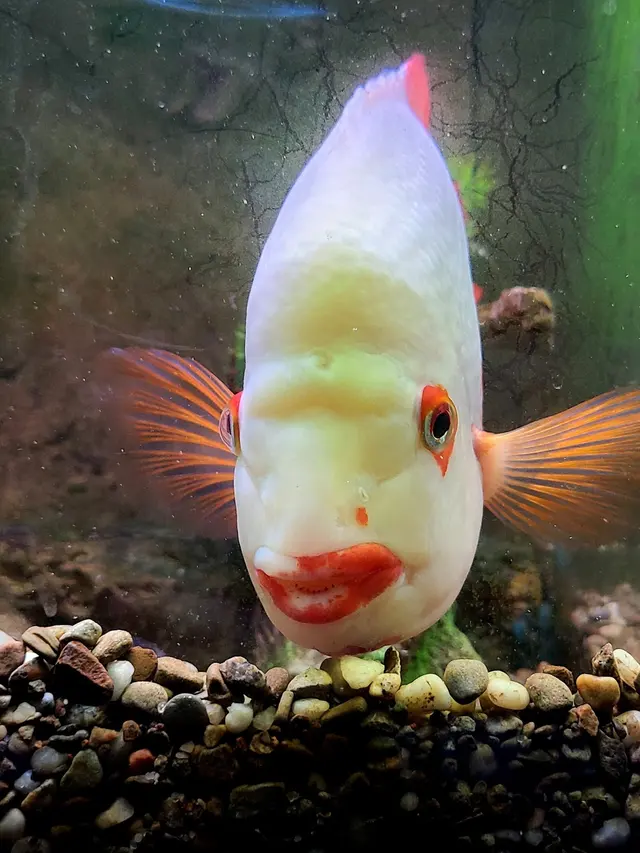 Preuss Pets — customer photo 6