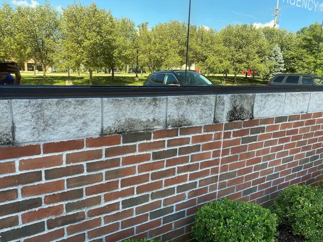 Wash-Tech Power Washing — customer photo 3