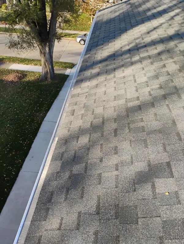 Prestissimo Window Cleaning Company — customer photo 7
