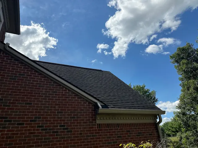 The Brothers That Just Do Gutters — customer photo 6