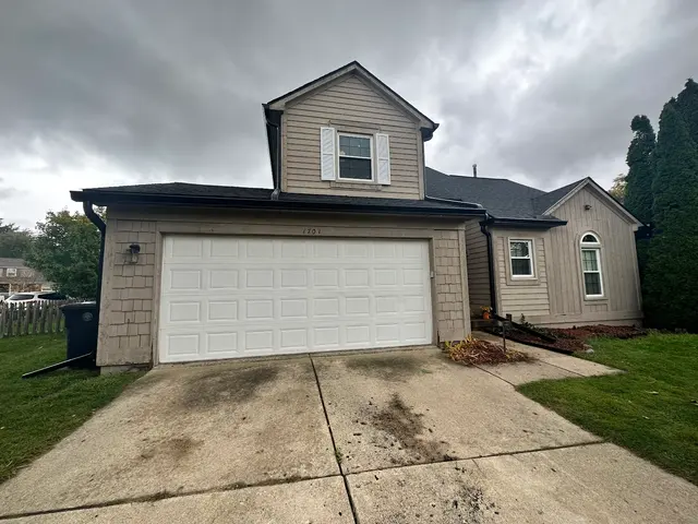 The Brothers That Just Do Gutters — customer photo 9