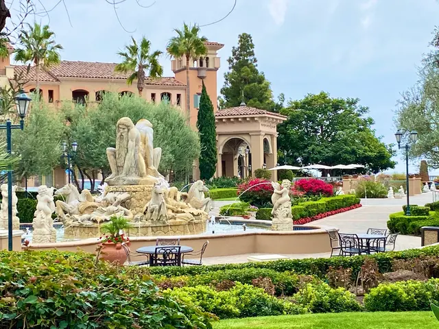 Angela Sosa | Vista Sotheby’s International Realty — photo from the business 10