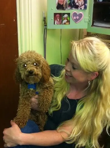 Teg's Canine Clippery — photo from the business 12