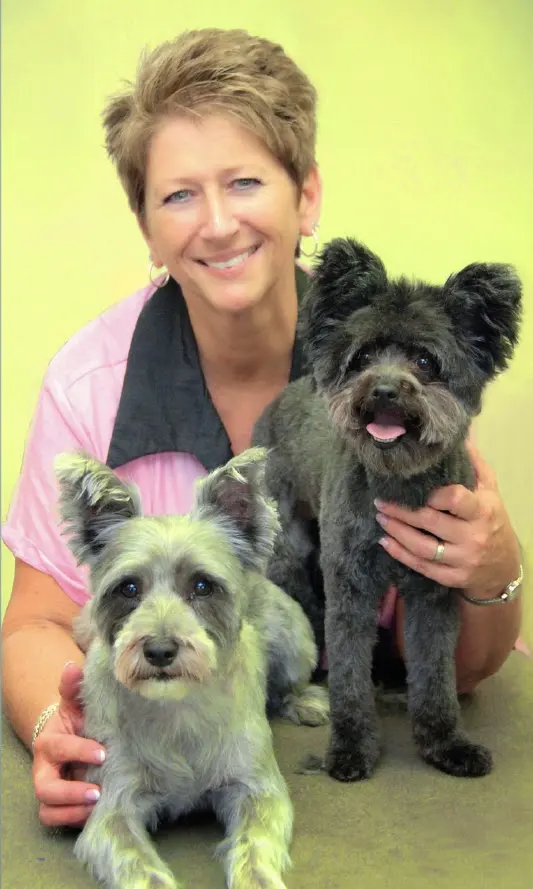 Teg's Canine Clippery — photo from the business 7