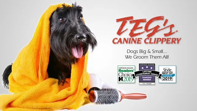 Teg's Canine Clippery — photo from the business 1