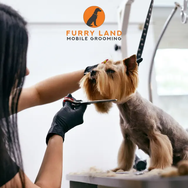 Furry Land Mobile Pet Grooming Central PA — photo from the business 1