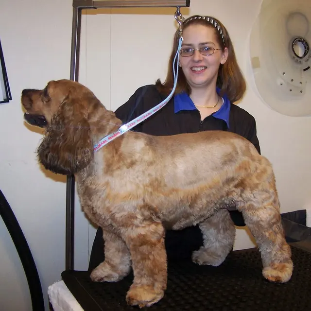 Classy K-9's — photo from the business 7