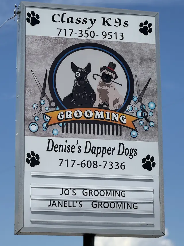 Denise's Dapper Dogs — photo from the business 7