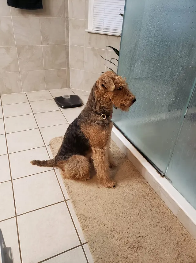 Mary's Grooming Boutique — photo from the business 10