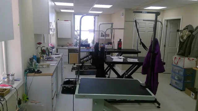 Mary's Grooming Boutique — photo from the business 12