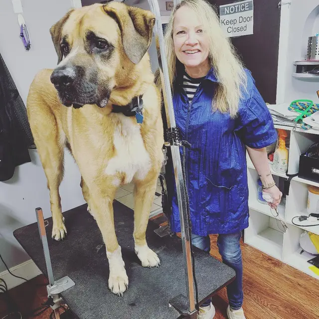 Mary's Grooming Boutique — photo from the business 5