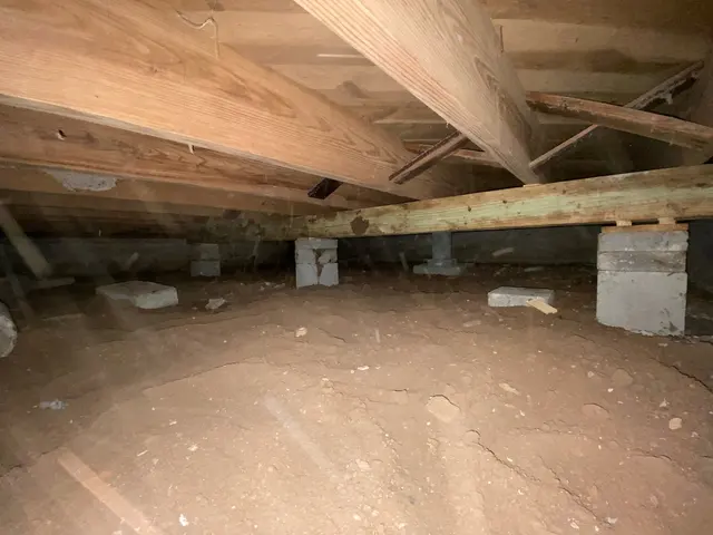 Isidros Foundation Repair — photo from the business 2