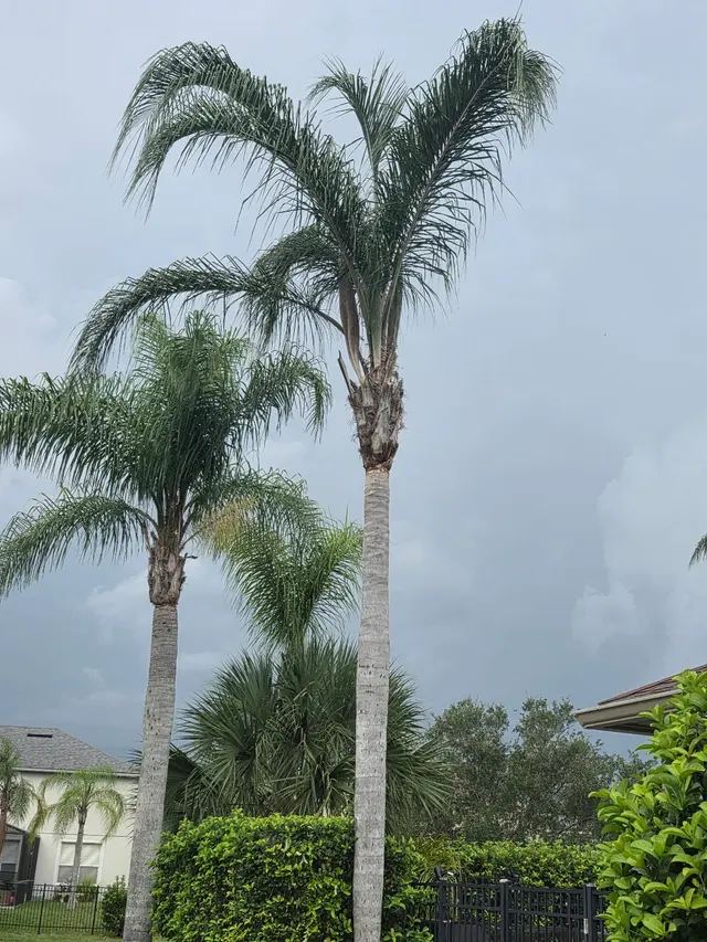 Optimus Home Repair LLC — photo from the business 11