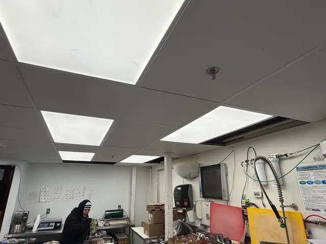 Interactive Lighting Supply — customer photo 7