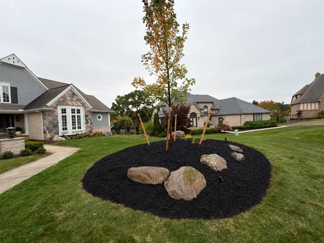 Mantis Lawn & Landscape — customer photo 1