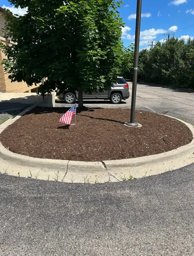 Mantis Lawn & Landscape — customer photo 4