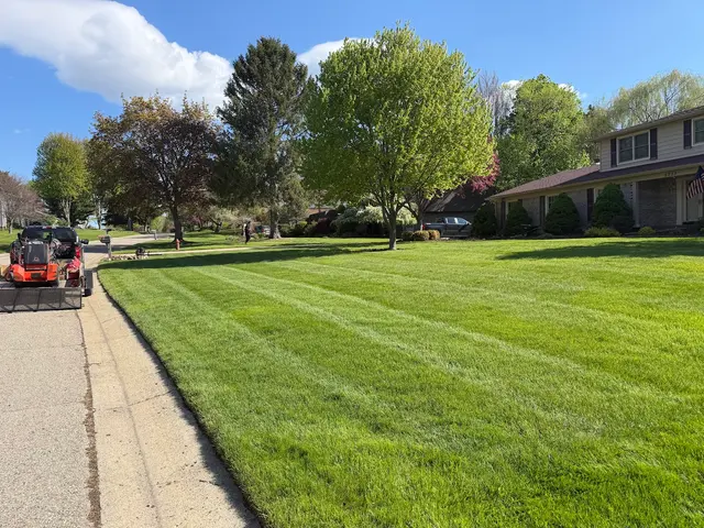 Mantis Lawn & Landscape — photo from the business 10
