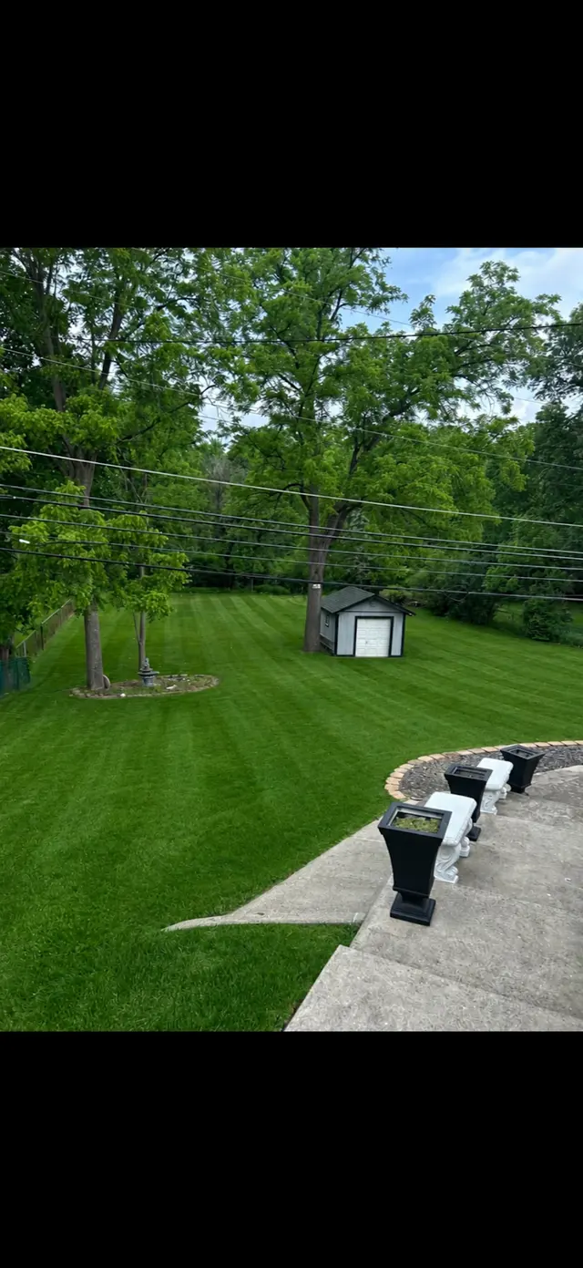 Mantis Lawn & Landscape — photo from the business 8