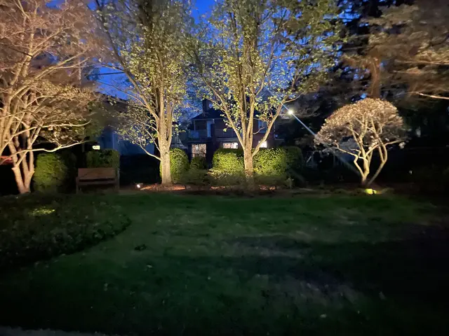 Stealth Landscape Lighting — customer photo 3