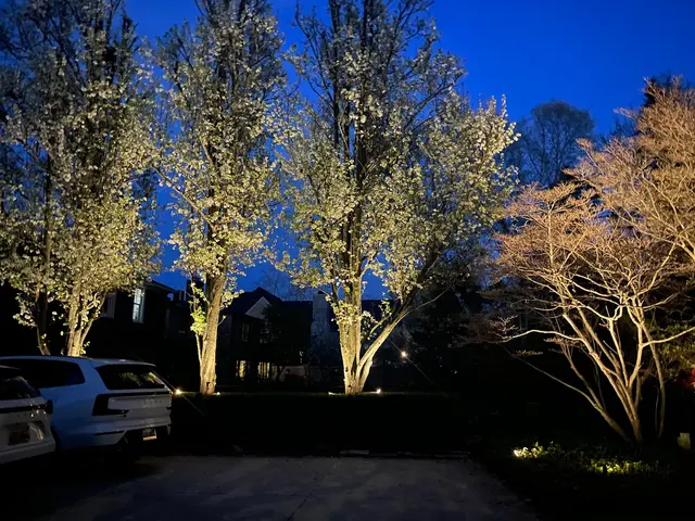 Stealth Landscape Lighting — customer photo 4