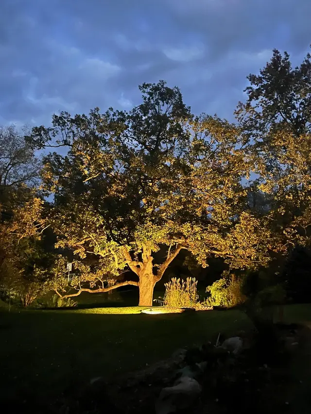 Stealth Landscape Lighting — customer photo 11