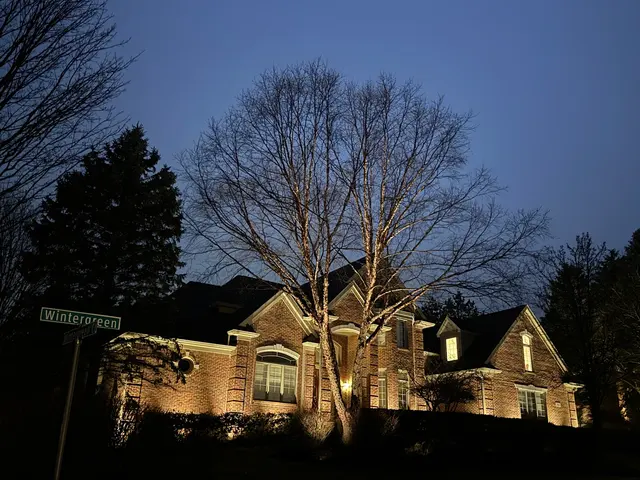 Stealth Landscape Lighting — customer photo 5