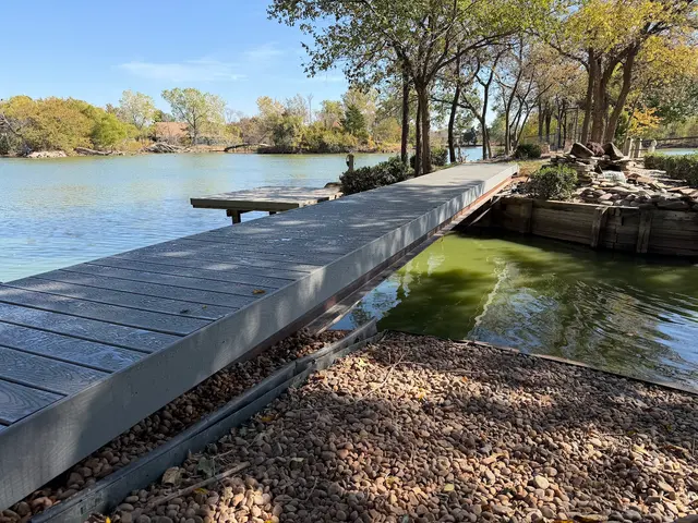 T&B Landscapes — photo from the business 9