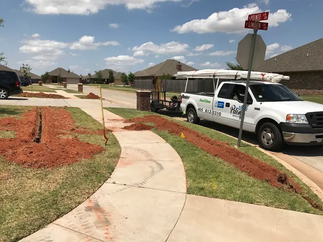 Pelon's Irrigation — photo from the business 12