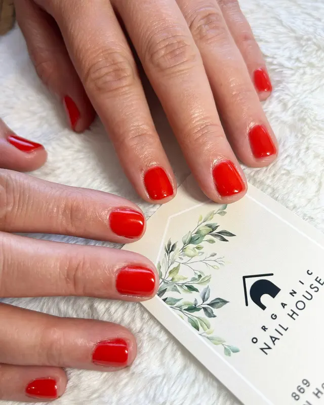 Organic Nail House — customer photo 5